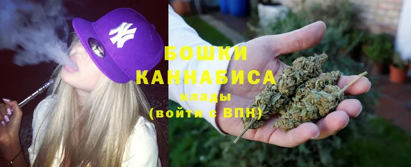 Шишки марихуана SATIVA & INDICA  как найти закладки  Великие Луки 